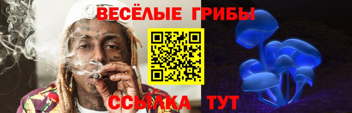 Псилоцибиновые грибы Psilocybine cubensis  Псилоцибиновые грибы Psilocybine cubensis  где купить наркотик  Вход с VPN  Татарск 